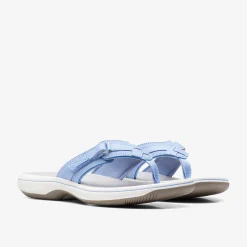 Breeze Sea Lavender