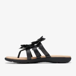 Elizabelle Mae Black Combination