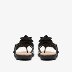 Elizabelle Mae Black Combination