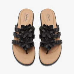 Elizabelle Mae Black Combination