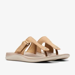 Glide Walk Walnut