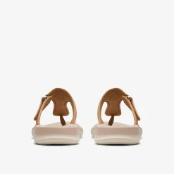 Glide Walk Walnut