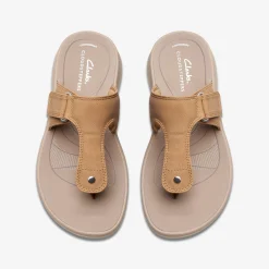 Glide Walk Walnut
