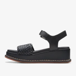 Kimmei Bay Black