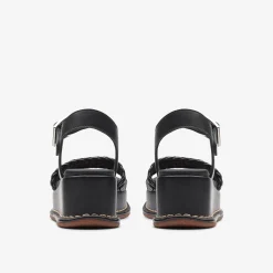 Kimmei Bay Black